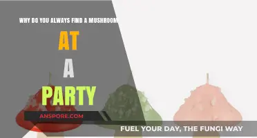 Mushrooms at Parties: Unveiling the Surprising Social Fungus Phenomenon