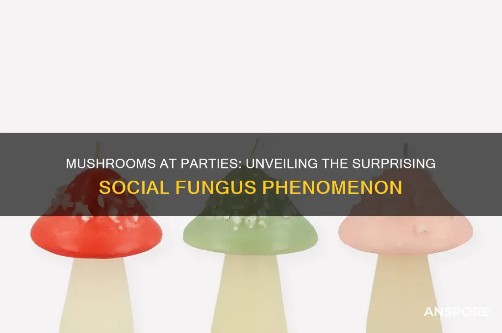 why do you always find a mushroom at a party