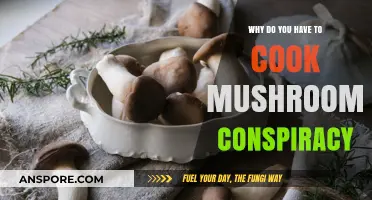 Mushroom Cooking Conspiracy: Unveiling the Hidden Truth Behind the Heat