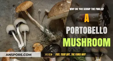 Scraping Portobello Mushroom Fins: Benefits, Techniques, and Culinary Uses