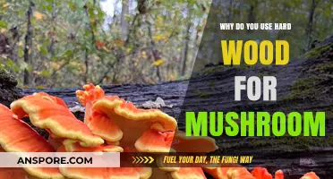 Why Hardwood is the Best Choice for Growing Mushrooms