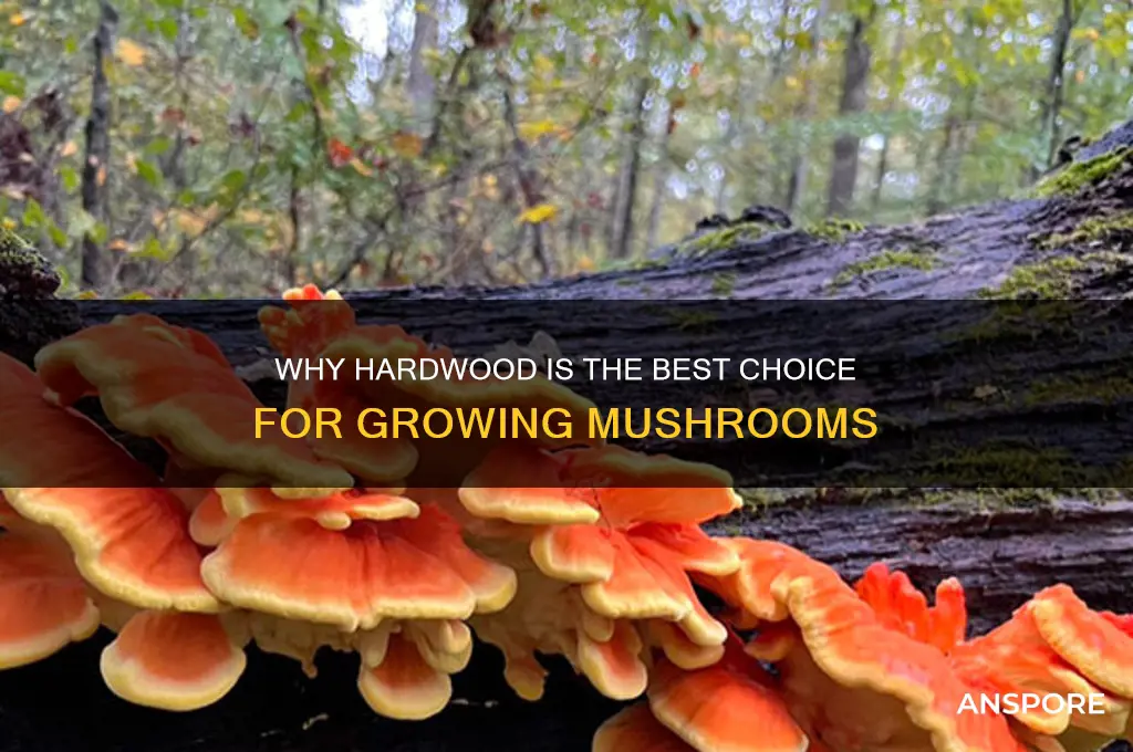 why do you use hard wood for mushrooms