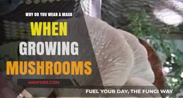 Masks in Mushroom Cultivation: Protecting Your Harvest from Contamination