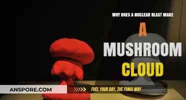 Unveiling the Science Behind Mushroom Clouds in Nuclear Blasts