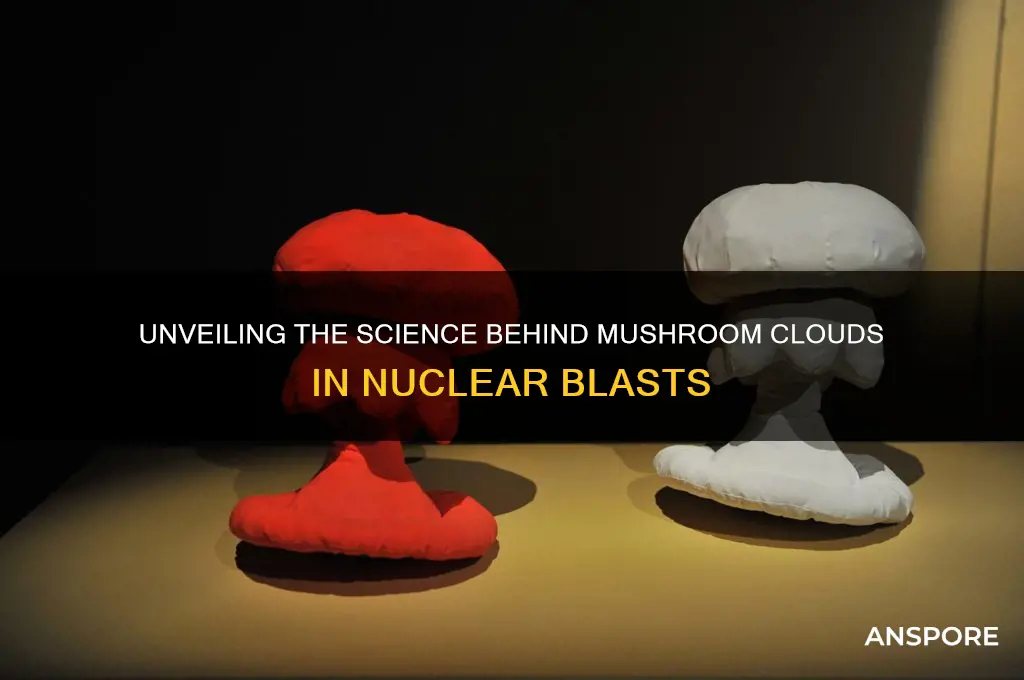 why does a nuclear blast make a mushroom cloud