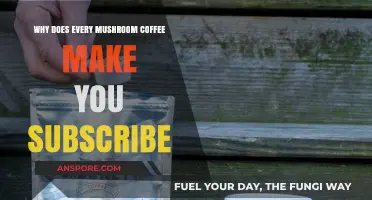 Mushroom Coffee Subscriptions: Why Auto-Renewal is the New Norm