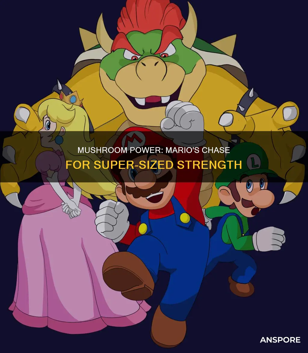 why does mario chase mushrooms