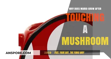 Why Mario Grows After Touching a Mushroom: Exploring the Power-Up