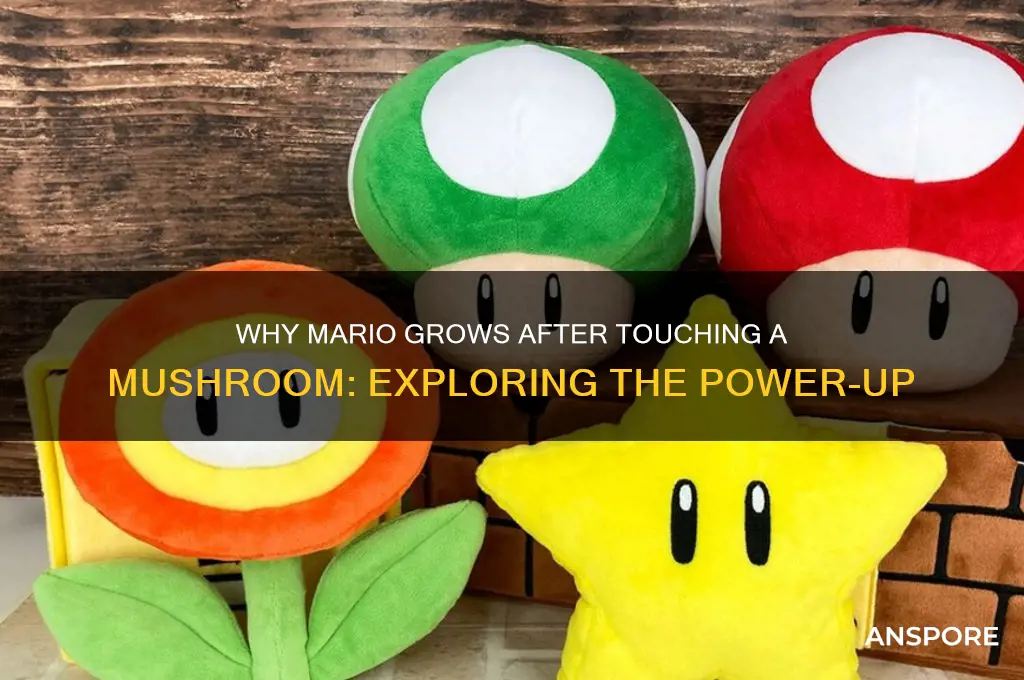 why does mario grow after touching a mushroom