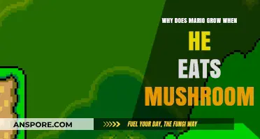 Why Mario Grows: The Science Behind Mushroom Power-Ups