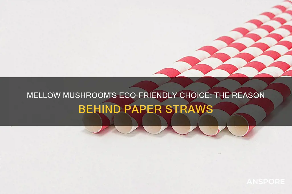 why does mello mushroom use paper straws