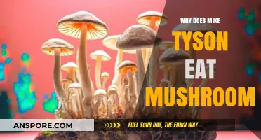 Mike Tyson's Mushroom Diet: Unlocking the Secrets of His Health Kick