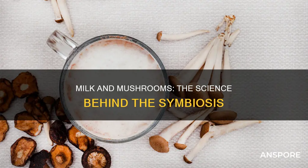 why does milk help mushrooms