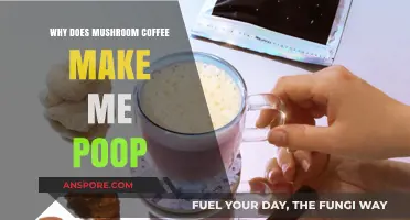 Mushroom Coffee and Digestion: Why It Triggers Frequent Bowel Movements