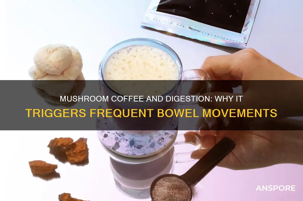 why does mushroom coffee make me poop