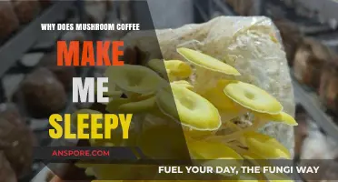 Mushroom Coffee and Sleepiness: Unraveling the Unexpected Energy Paradox
