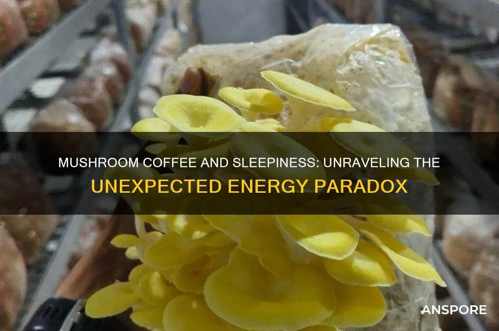 why does mushroom coffee make me sleepy