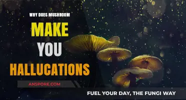 Unveiling the Psychedelic Secrets: Why Mushrooms Induce Hallucinations