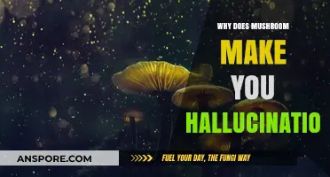 Unveiling the Psychedelic Secrets: Why Mushrooms Induce Hallucinations