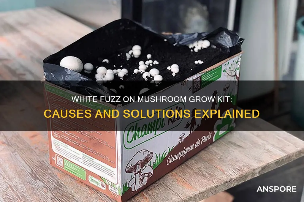 why does my mushroom grow kit of white fuzz