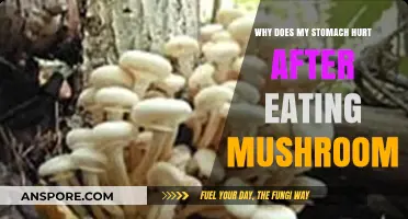 Stomach Pain After Eating Mushrooms: Causes and Remedies Explained