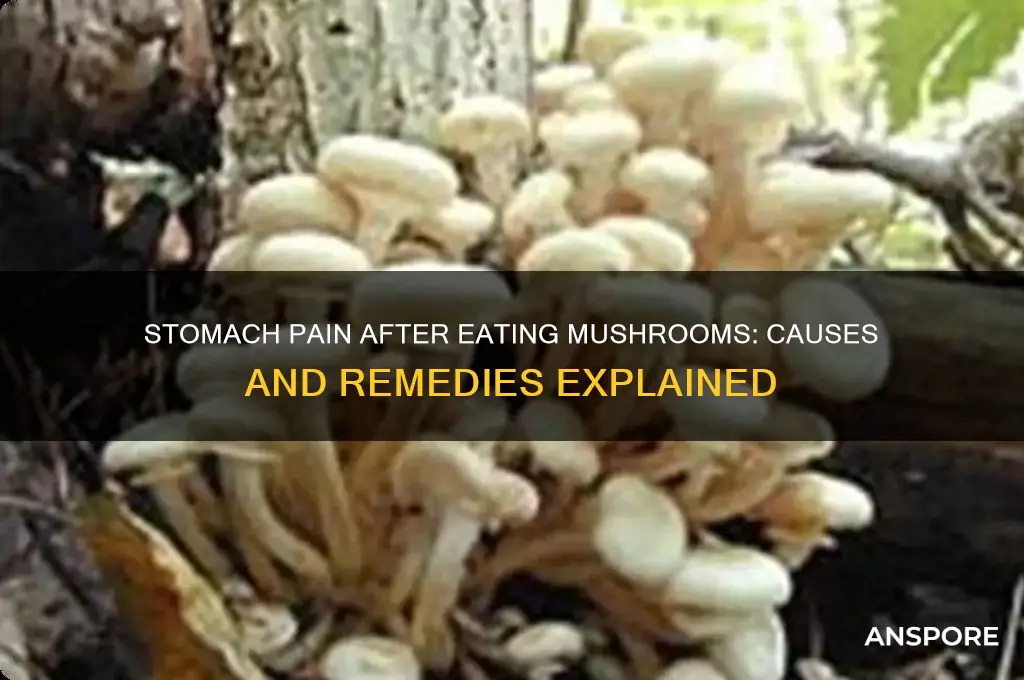 why does my stomach hurt after eating mushroom