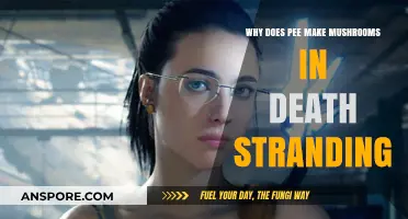 Pee's Role in Death Stranding: Unraveling the Mushroom Mystery