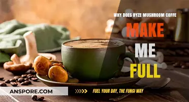 Why Ryze Mushroom Coffee Keeps You Feeling Full Longer