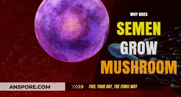 Unveiling the Surprising Connection: Semen and Mushroom Growth Explained