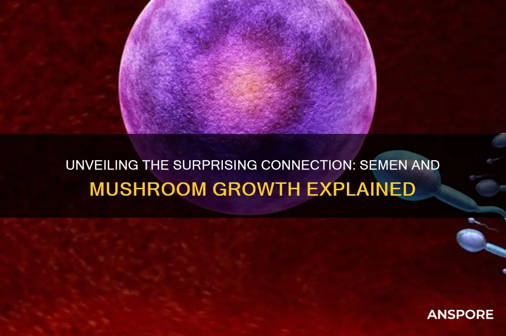 why does semen grow mushrooms