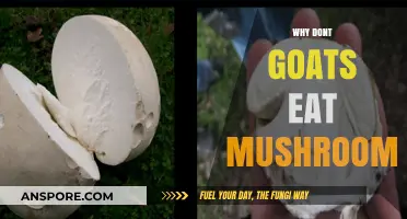 Why Goats Avoid Mushrooms: Unraveling Their Unique Dietary Habits