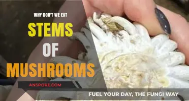 Why Mushroom Stems Are Often Left Behind: Exploring the Reasons