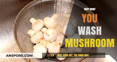 The Unwashed Mushrooms: Why You Shouldn't Wash Them