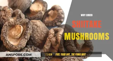 Shiitake Mushrooms: Dried, Healthy, and Delicious