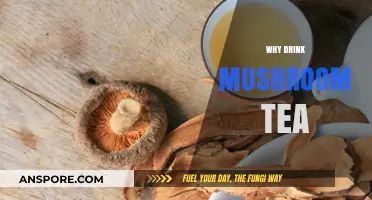 Mushroom Tea: Ancient Elixir for Modern Wellness
