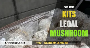 Legal Mushroom Grow Kits: Benefits, Uses, and Why They're Gaining Popularity