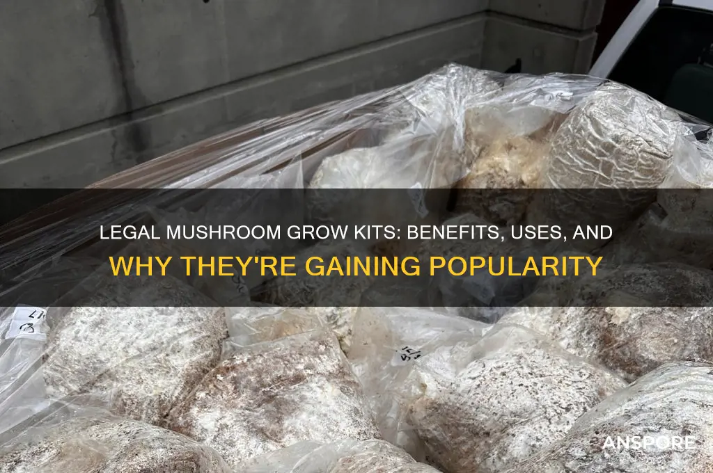why grow kits legal mushrooms