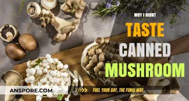 Skipping Canned Mushrooms: My Unexpected Culinary Decision Explained