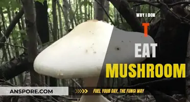 Why I Don't Eat Mushrooms: My Personal Reasons Explained