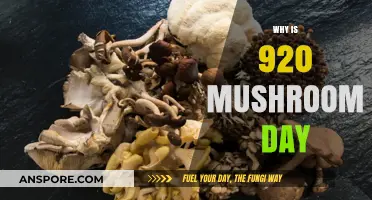 Mushroom Day: Celebrating Fungi's Unique Number