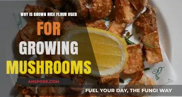 Brown Rice Flour: The Secret to Successful Mushroom Cultivation