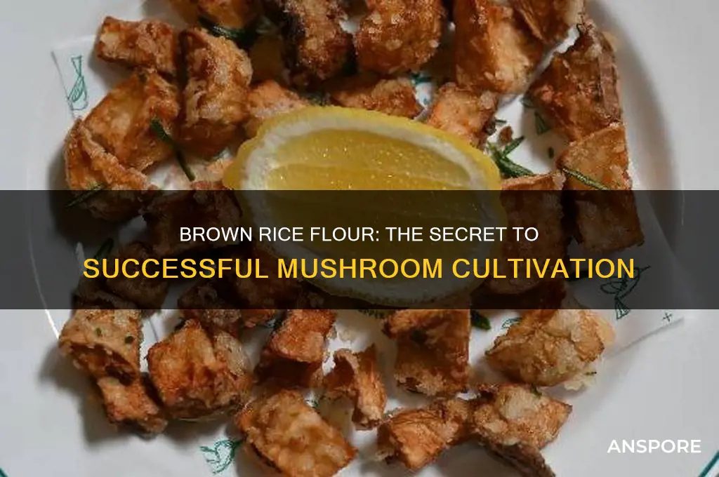 why is brown rice flour used for growing mushrooms