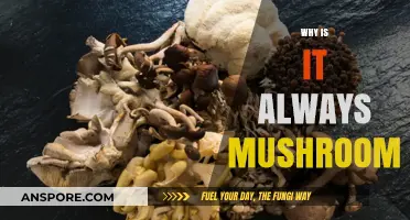 The Mysterious Mushroom: Why is it so Common?