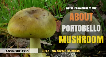 Portobello Mushrooms: Unveiling the Hidden Dangers of Casual Conversations