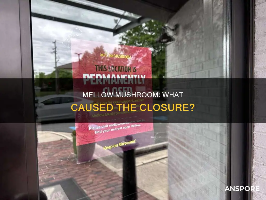 why is mellow mushroom closed