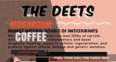 Mushroom Coffee: Superfood or Super-Hype?