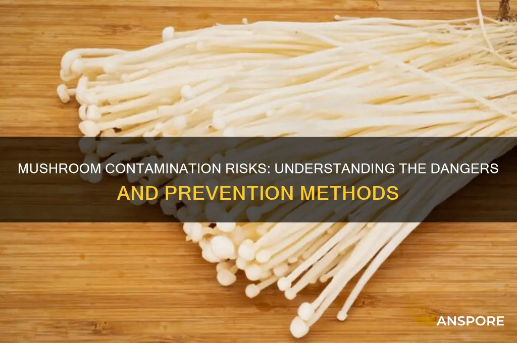 why is mushroom contamination bad