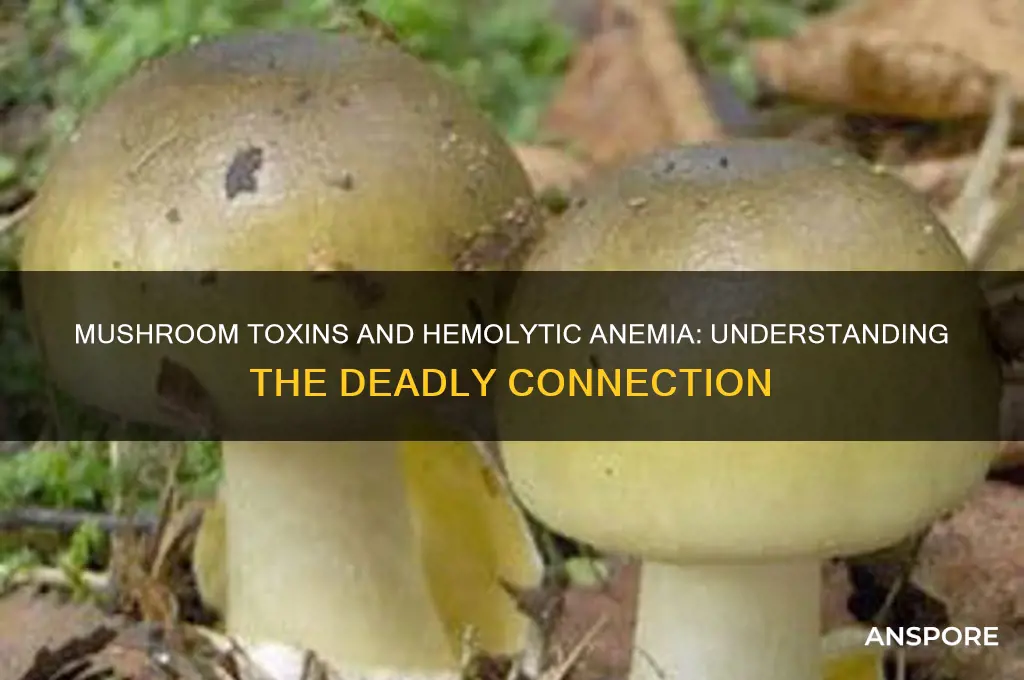 why is mushroom poisoning likely to cause hemolytic anemia