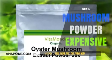 Mushroom Powder's High Cost: What's the Reason?