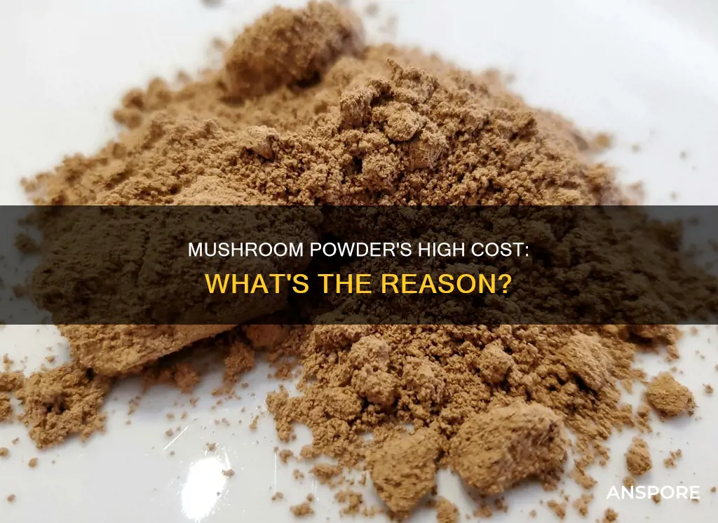 why is mushroom powder expensive